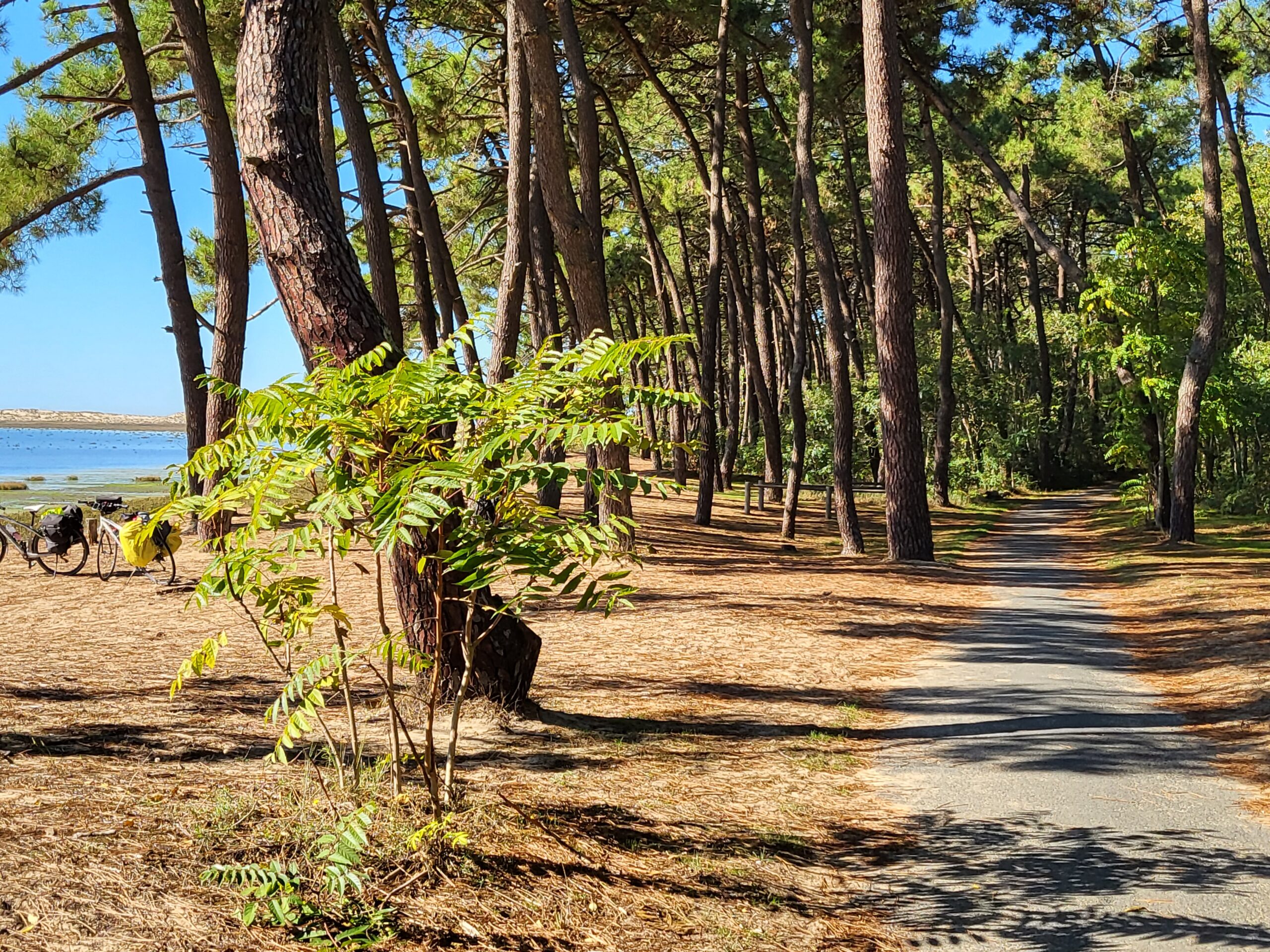 Euro Velo cycling route